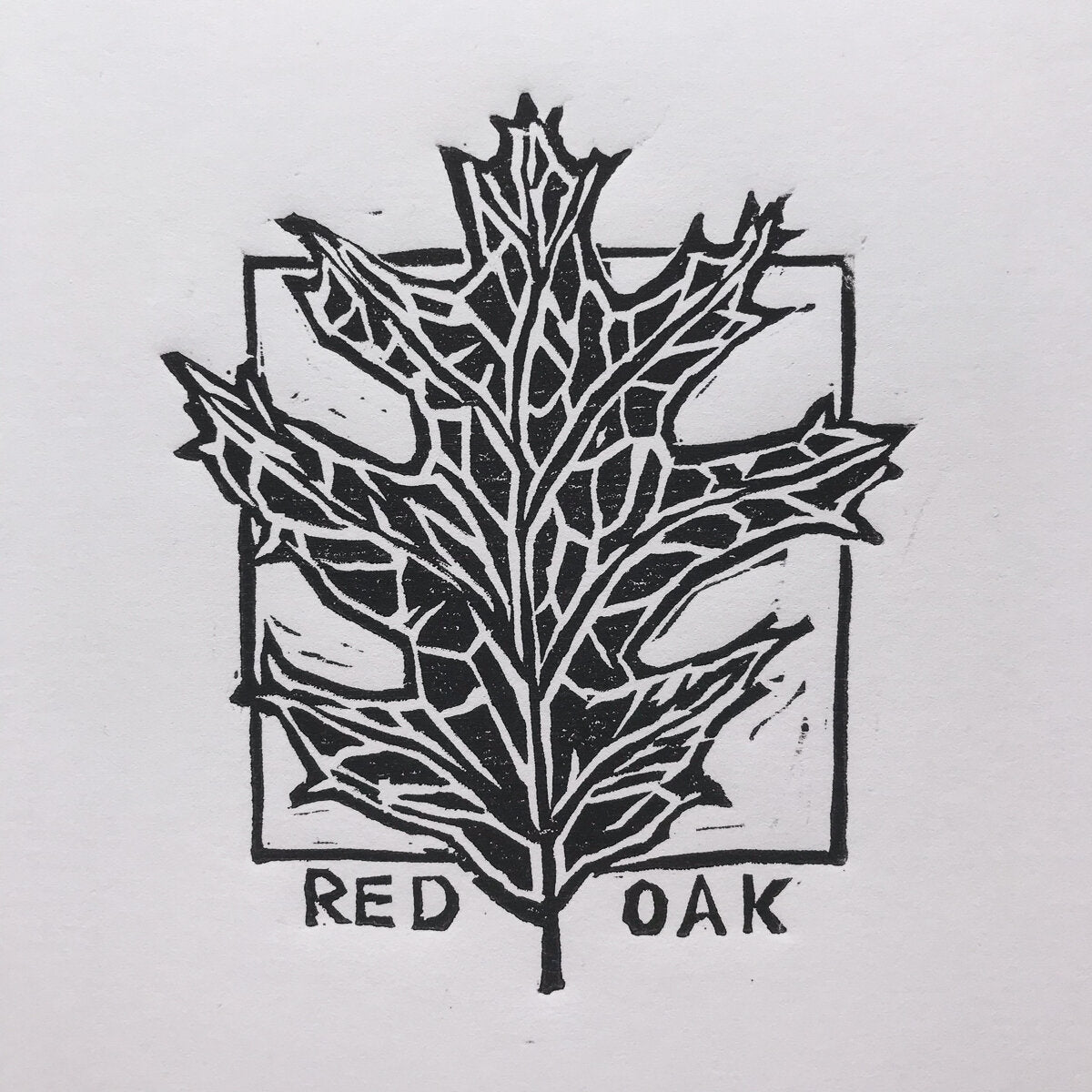 4x4 woodcut print of a red oak leaf